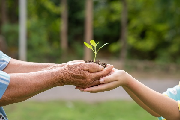 Avance en sustentabilidad: UCSC demuestra compromiso con el cuidado de la Casa Común