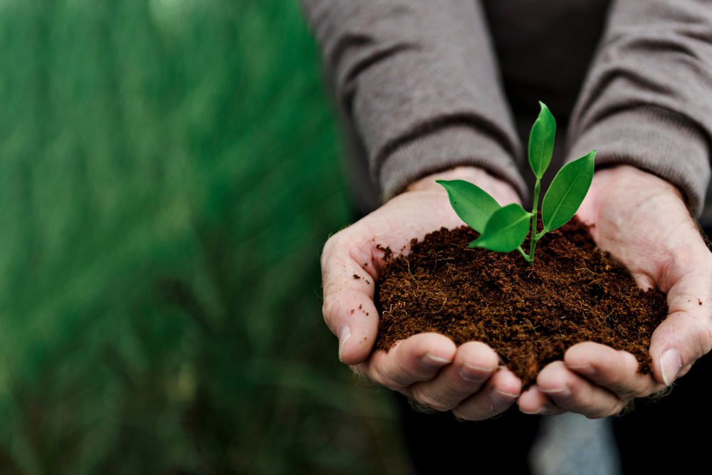 ¿Plantar o no en temporada de invierno?: Académicos UCSC entregan consejos