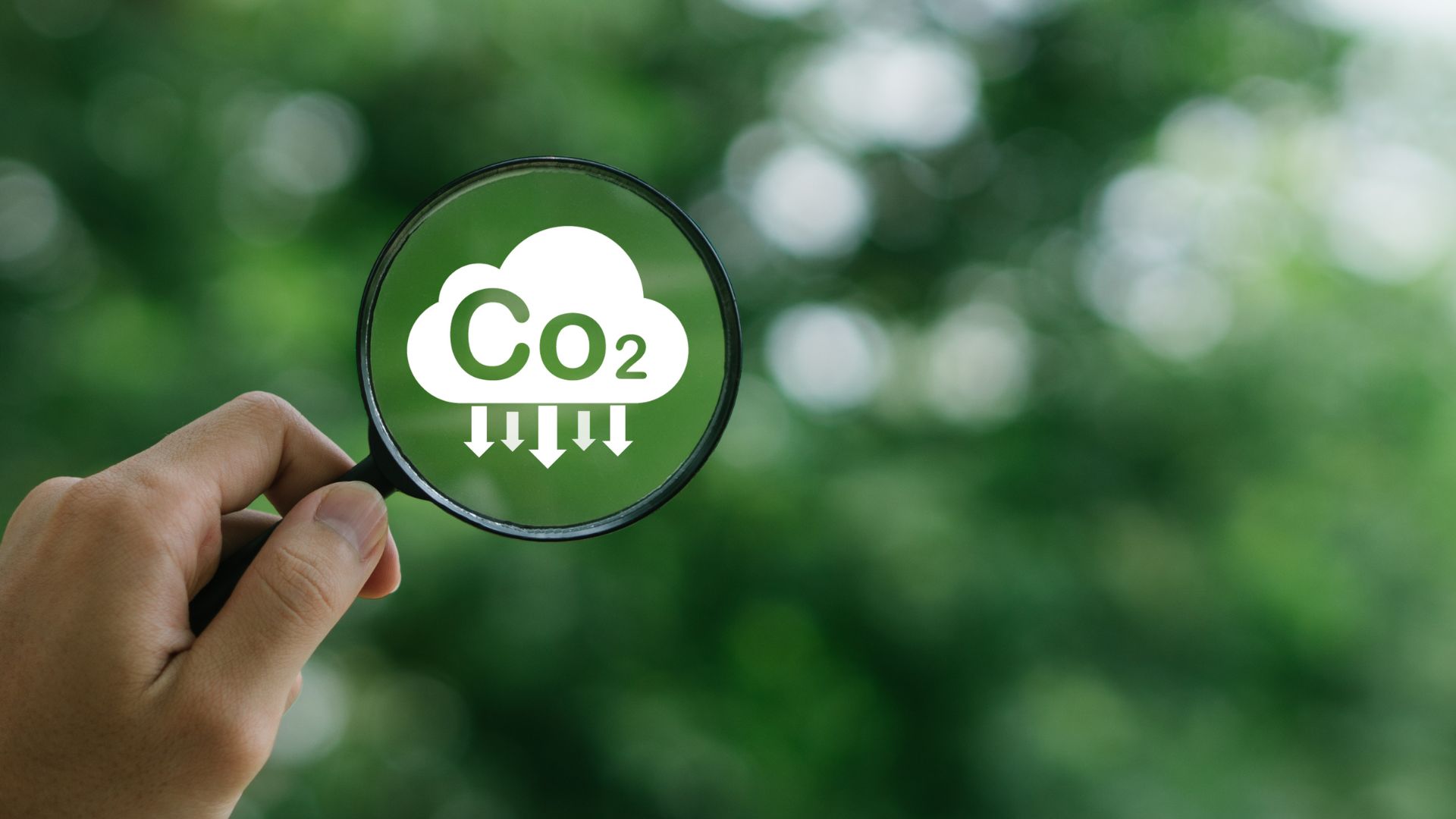 Innovación para la reducción de CO2: estrategias y avances tecnológicos