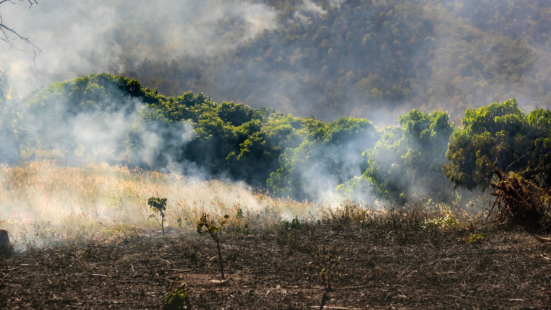 Preparación agrícola ante emergencias climáticas en temporada estival