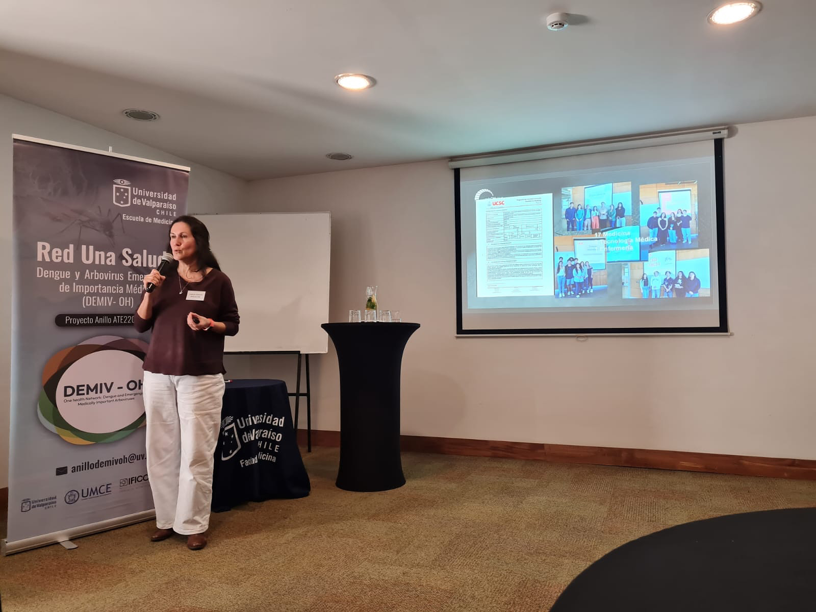 Académica UCS participó en Workshop organizado por el Proyecto Anillo