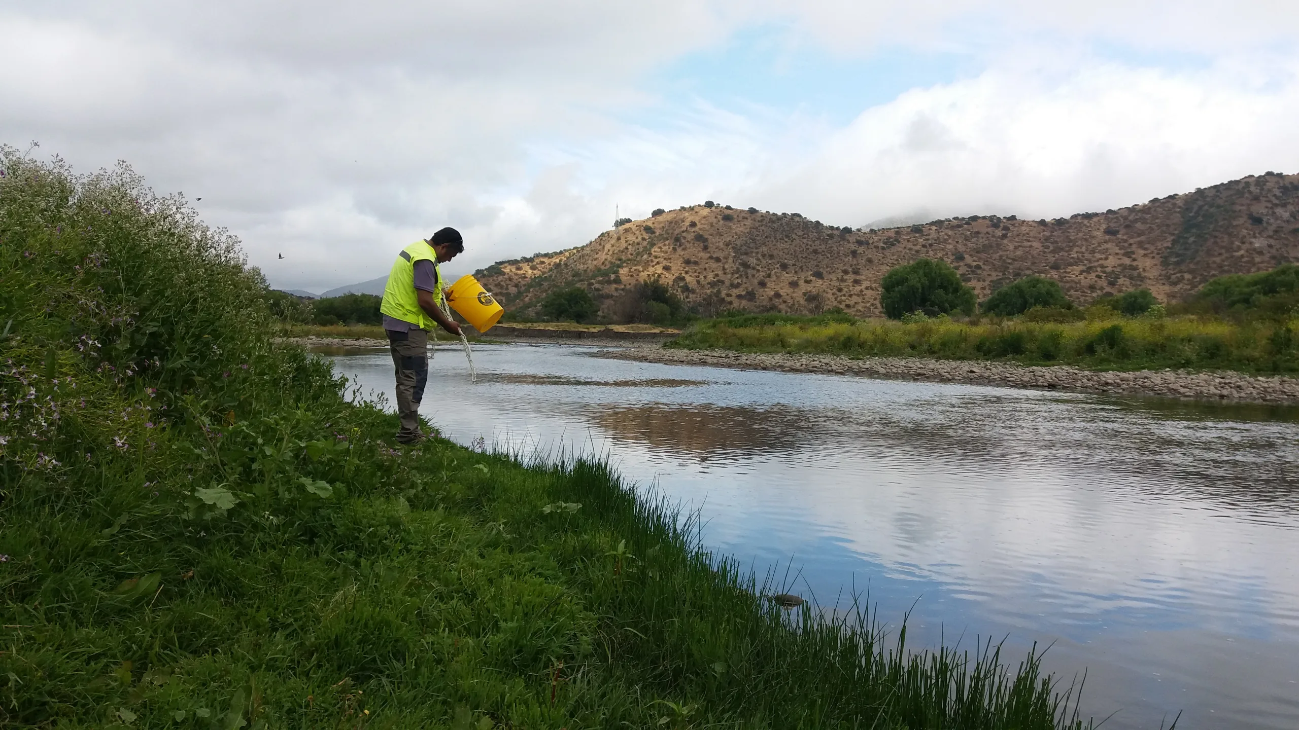 UCSC analiza calidad del agua en Río Maipo para proyecto del MMA 