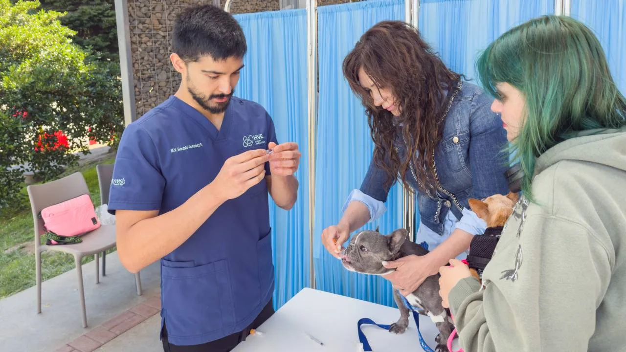 UCSC realiza exitoso operativo veterinario para mascotas de funcionarios
