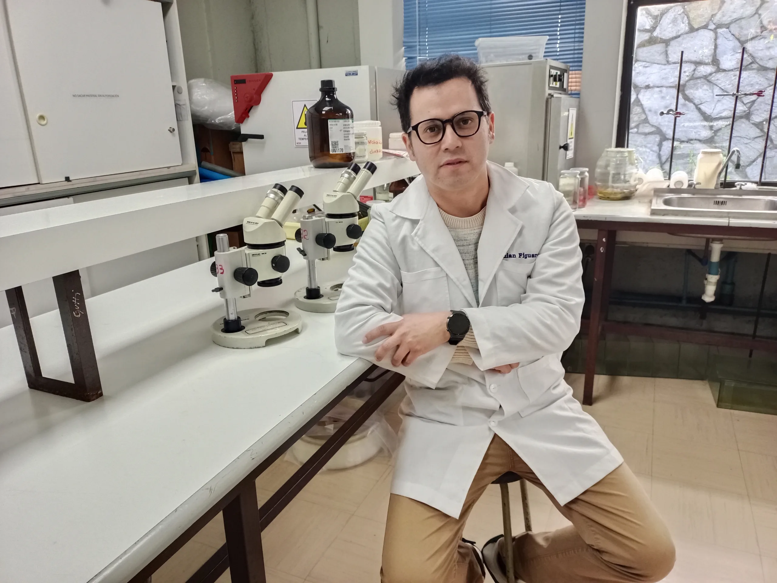 Investigación aborda efecto antioxidante y neuroprotector del digüeñe