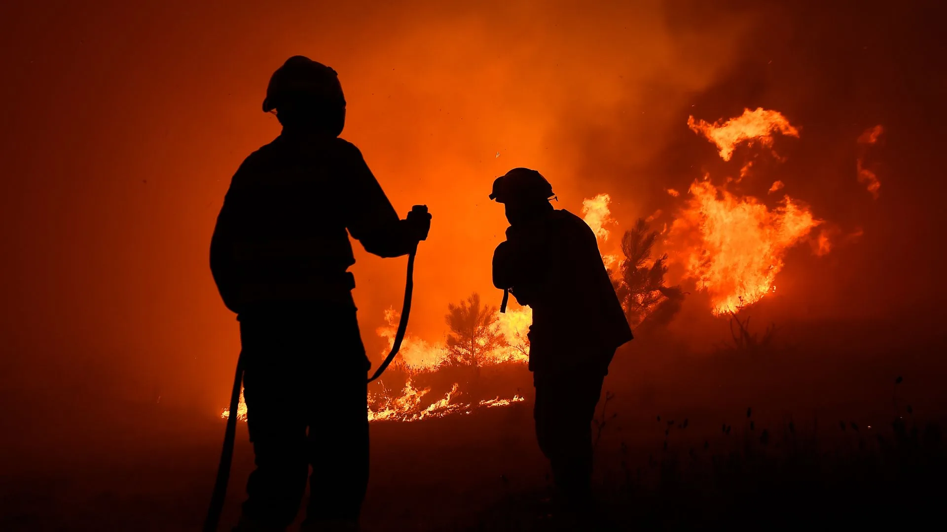 Académicos UCSC entregan recomendaciones ante incendios forestales que afectan a Chile