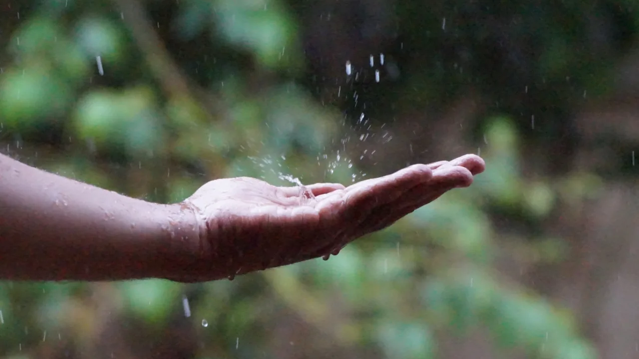 El Niño 2026: posibles impactos en los ecosistemas marinos y la acuicultura chilena