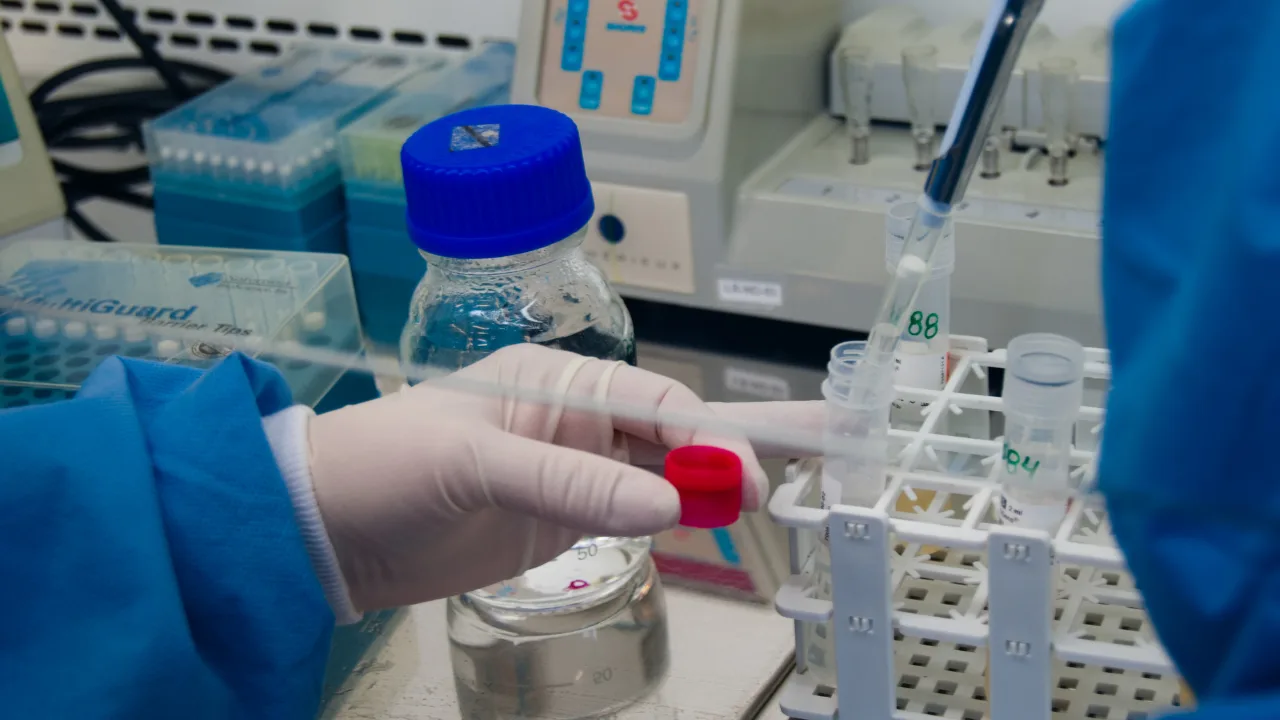 UCSC amplía su formación doctoral con nuevo programa en Ciencias Biomédicas