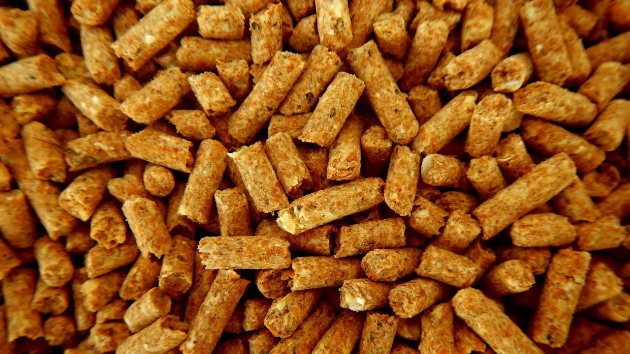 El pellet se produce todo el año, pero falta en invierno: la paradoja detrás de la escasez