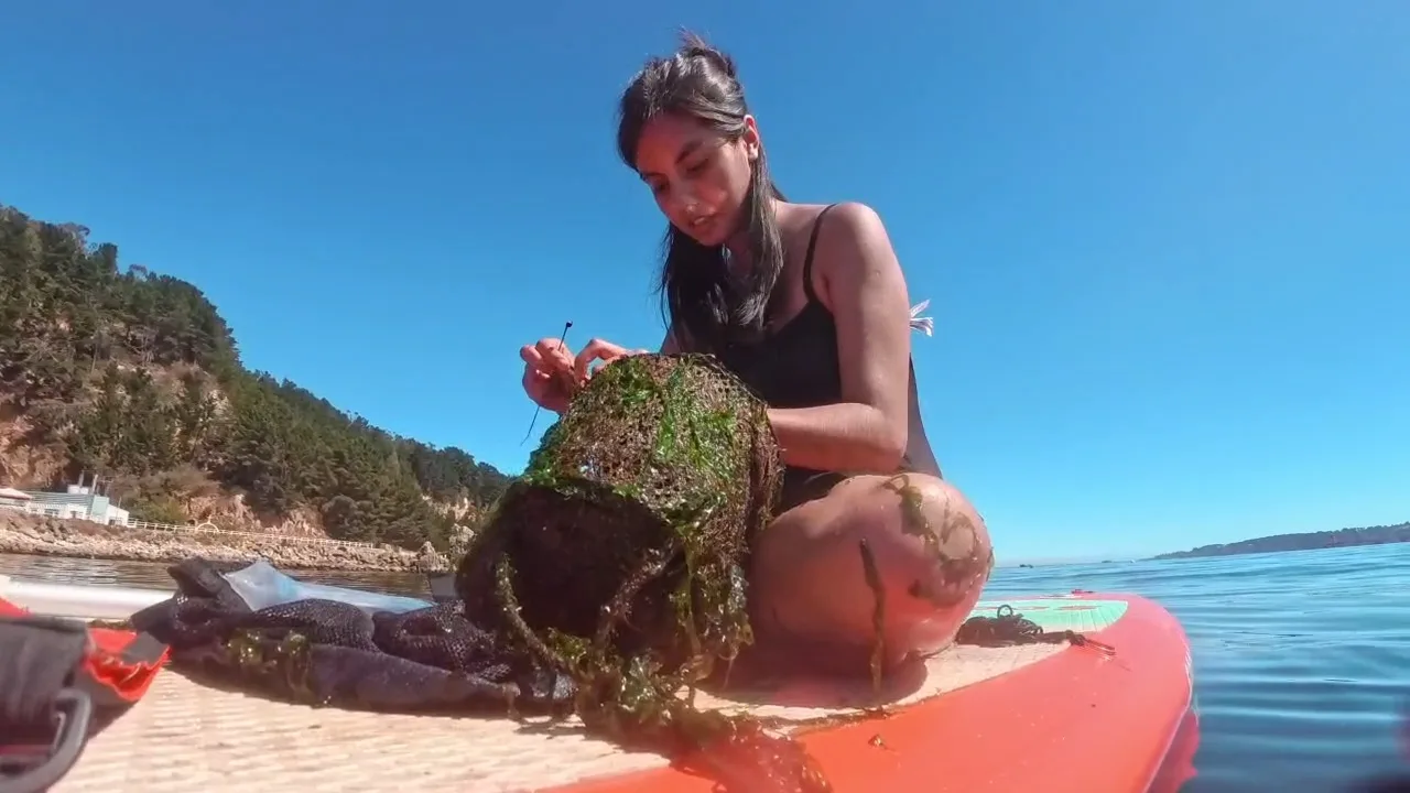 Estudio revela que el ruido de embarcaciones puede favorecer asentamiento de especies marinas invasoras