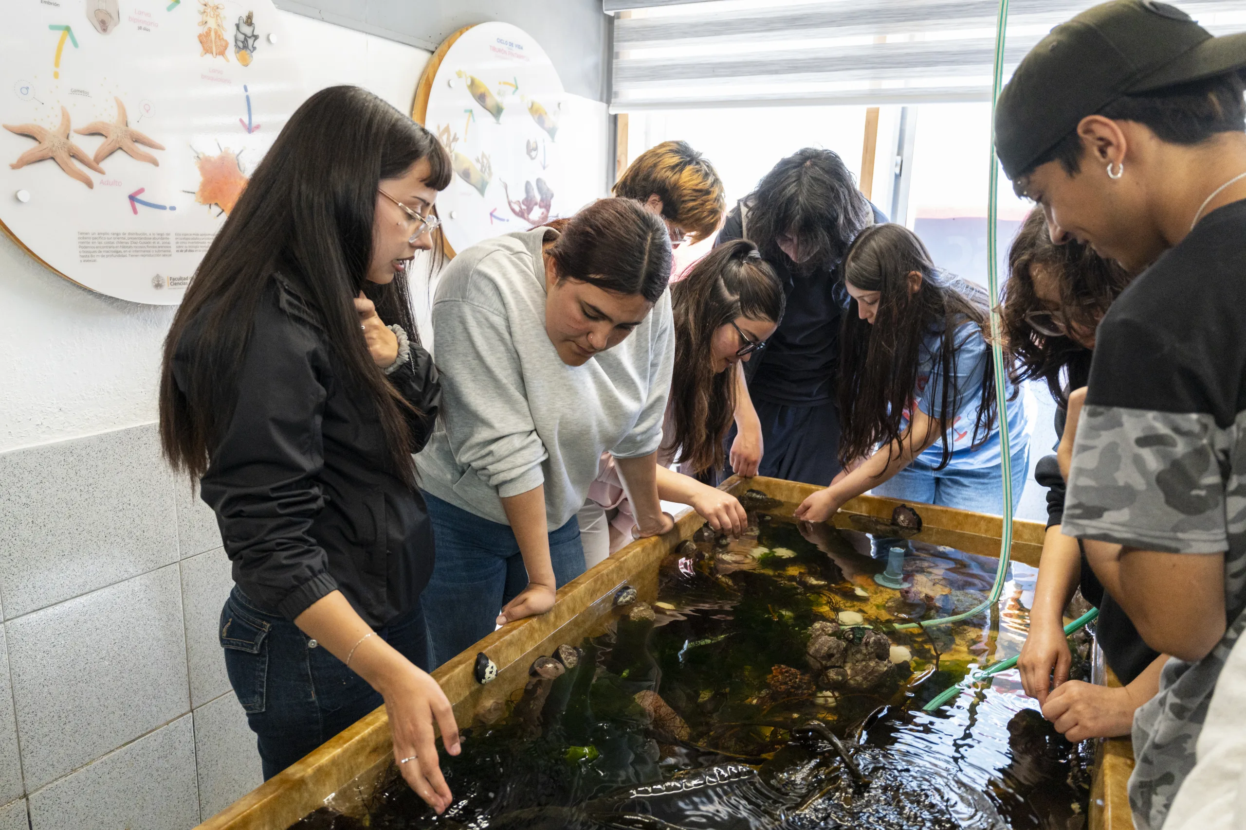 Estudiantes de primer año de Biología Marina UCSC visitan Estación Costera en Lenga