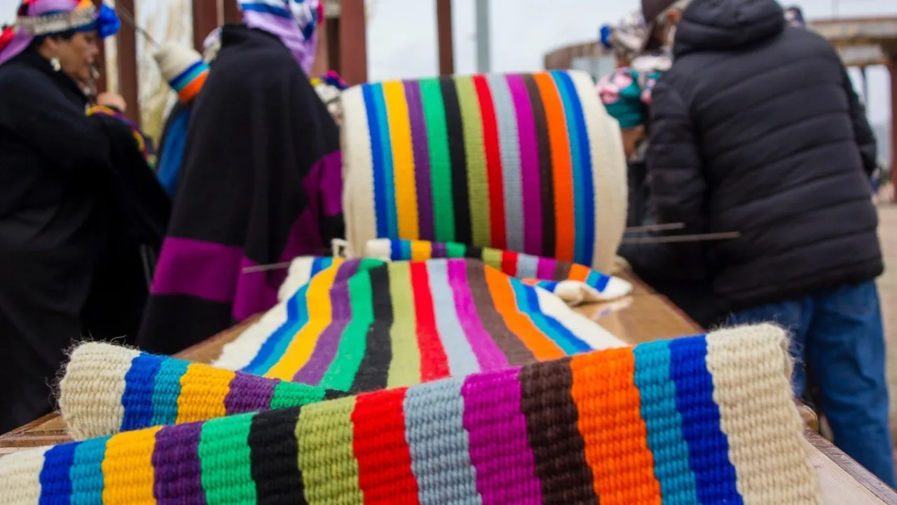 Estudio revela amplia valoración ciudadana hacia comunidades indígenas del Biobío